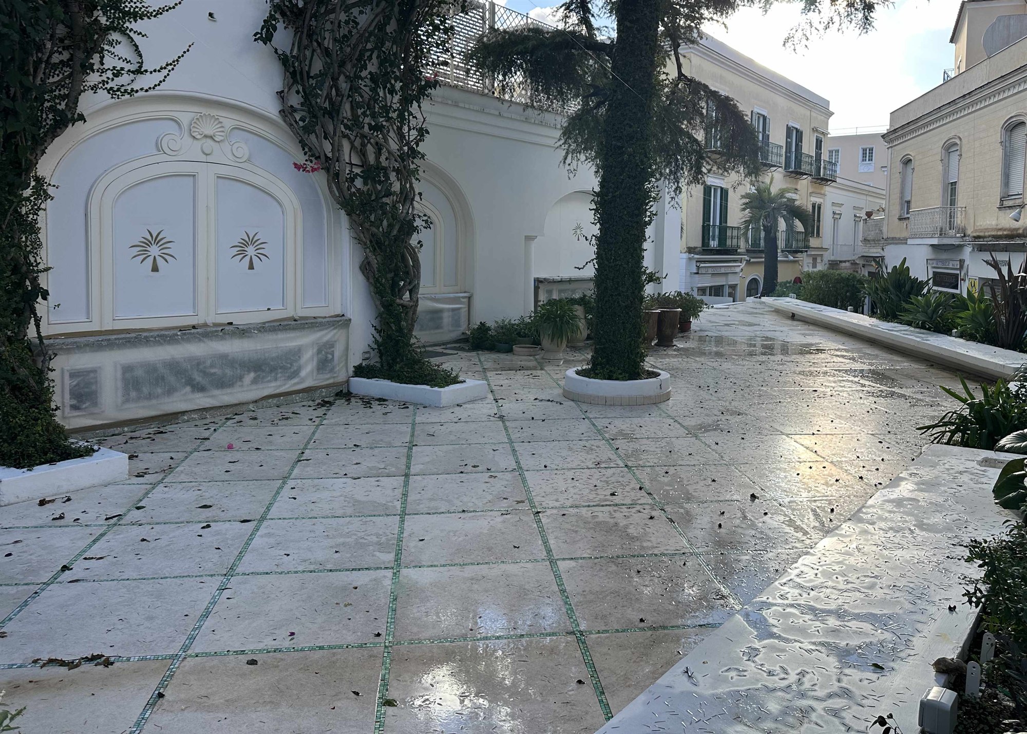 Foto della corte esterna reale: pareti bianche con decori a palma, palma in fioriera e pavimento a scacchiera