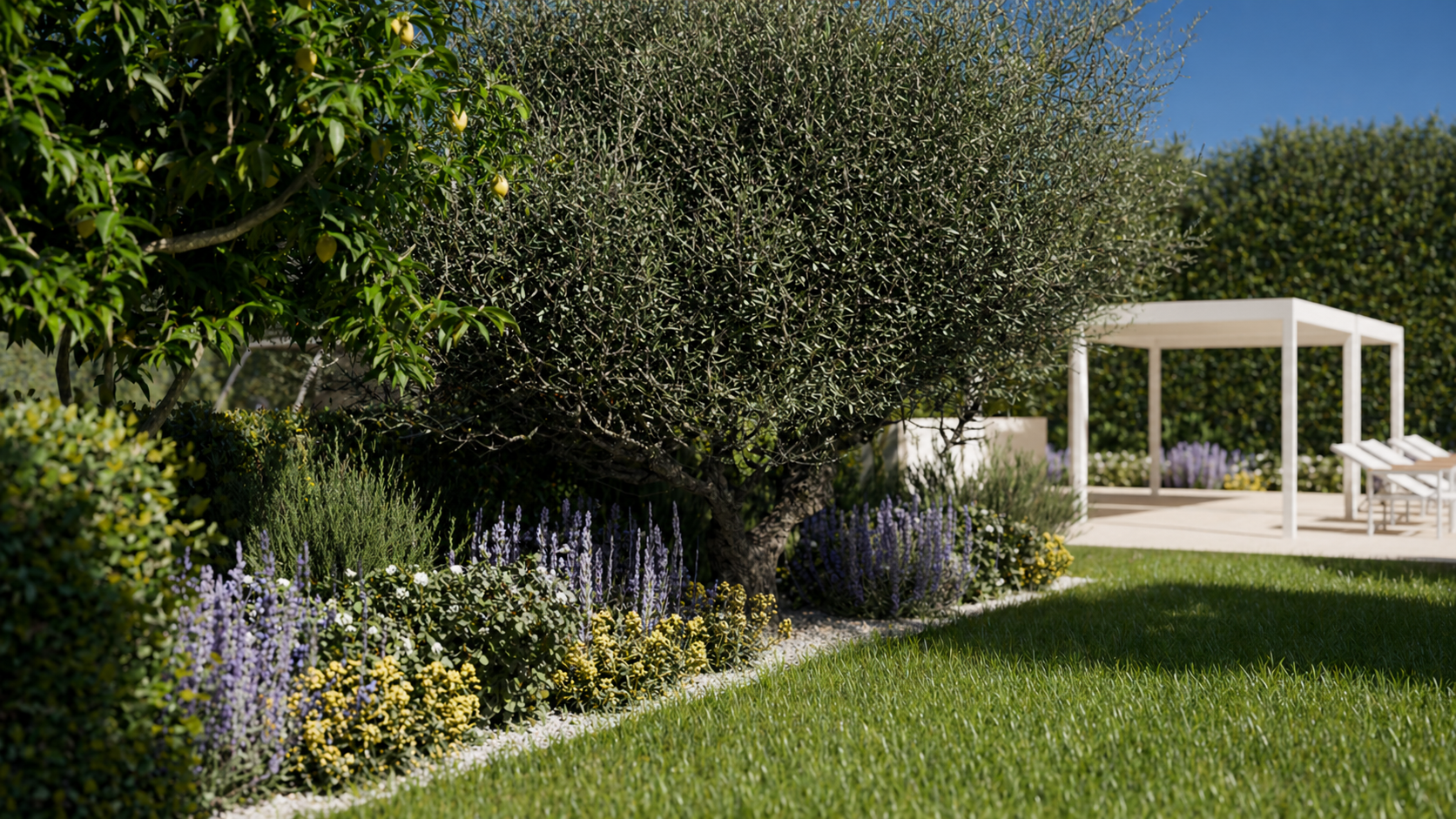 Main Patio — vista 02